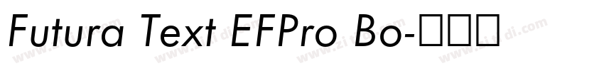 Futura Text EFPro Bo字体转换